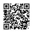 QR Code (код быстрого отклика)