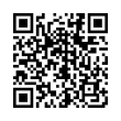 QR Code (код быстрого отклика)