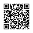 QR Code (код быстрого отклика)