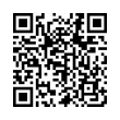QR Code (код быстрого отклика)