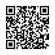 QR Code (код быстрого отклика)