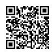 QR Code (код быстрого отклика)