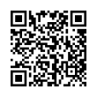 QR Code (код быстрого отклика)