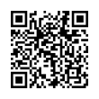 QR Code (код быстрого отклика)
