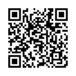 QR Code (код быстрого отклика)
