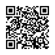 QR Code (код быстрого отклика)