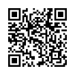 QR Code (код быстрого отклика)