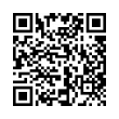 QR Code (код быстрого отклика)