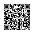 QR Code (код быстрого отклика)