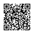 QR Code (код быстрого отклика)