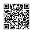 QR Code (код быстрого отклика)
