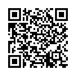 QR Code (код быстрого отклика)