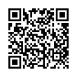 QR Code (код быстрого отклика)