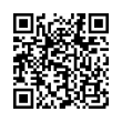 QR Code (код быстрого отклика)
