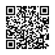 QR Code (код быстрого отклика)