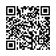 QR Code (код быстрого отклика)