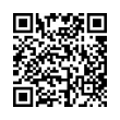QR Code (код быстрого отклика)