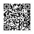 QR Code (код быстрого отклика)