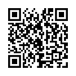 QR Code (код быстрого отклика)