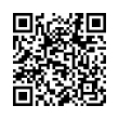 QR Code (код быстрого отклика)