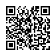 QR Code (код быстрого отклика)