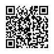 QR Code (код быстрого отклика)