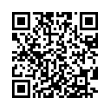 QR Code (код быстрого отклика)