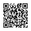 QR Code (код быстрого отклика)