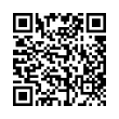 QR Code (код быстрого отклика)