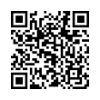 QR Code (код быстрого отклика)