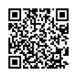 QR Code (код быстрого отклика)