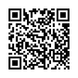 QR Code (код быстрого отклика)