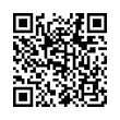 QR Code (код быстрого отклика)