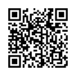QR Code (код быстрого отклика)