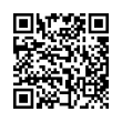 QR Code (код быстрого отклика)