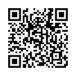 QR Code (код быстрого отклика)