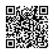 QR Code (код быстрого отклика)