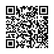 QR Code (код быстрого отклика)