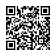 QR Code (код быстрого отклика)
