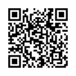 QR Code (код быстрого отклика)
