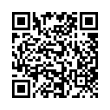 QR Code (код быстрого отклика)