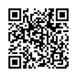 QR Code (код быстрого отклика)