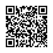 QR Code (код быстрого отклика)