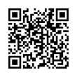 QR Code (код быстрого отклика)