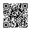 QR Code (код быстрого отклика)