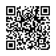 QR Code (код быстрого отклика)