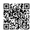 QR Code (код быстрого отклика)